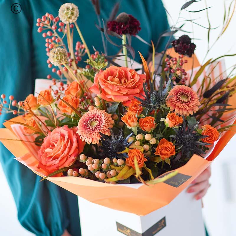 Autumn Collection