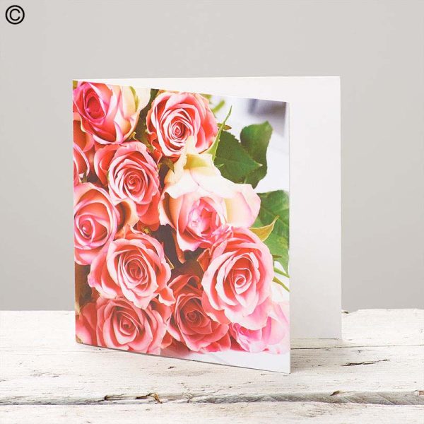 pink rose greeting card